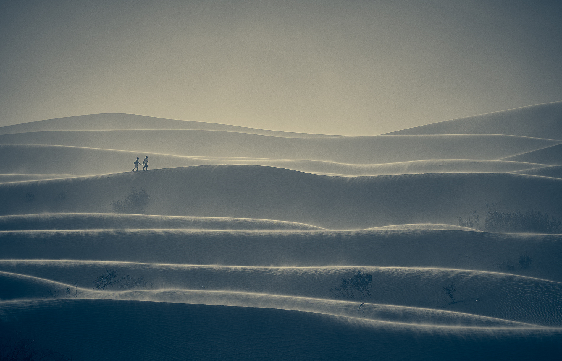 Death Valley, Californie, USA.